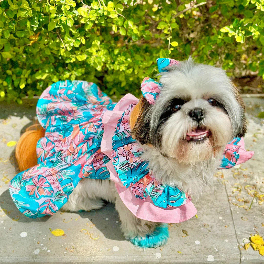 Pets Dresses
